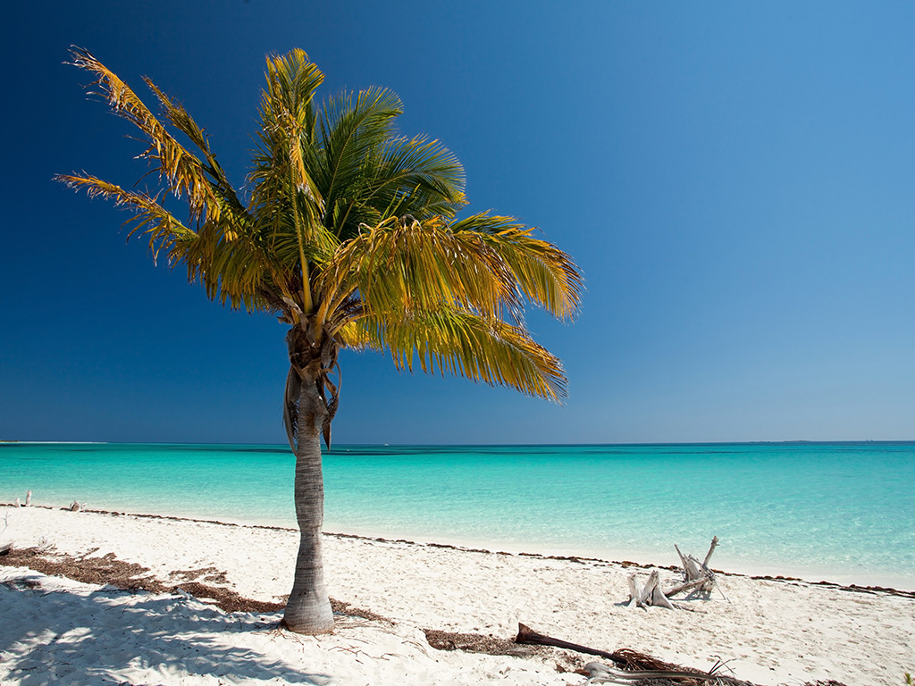 Avant de partir à Cuba