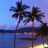 Patong plage