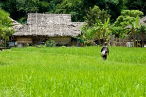 Photos of Baan Tong Luang of Chiang Dao Area In Chiang Mai, Thailand