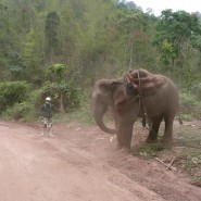 Jules Classic Rental, Rent bikes in Laos – Location de motos au Laos