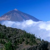 Les meilleurs endroits à visiter à Tenerife