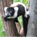 Bienvenue au Pays des MoraMora, Madagascar!