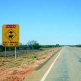 Comment partir en Australie en WHV ?