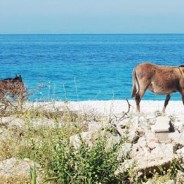 Vacances Albanie