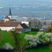 De TREIGNAC à CREUZIER le VIEUX …