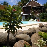 Passer un séjour inoubliable en Guadeloupe