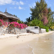 Zoom sur les attractions les plus populaires de l’île Maurice