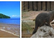 Le Masoala, découverte nature entre terre et mer