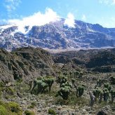 Ascension du KILIMANDJARO Voie MARANGU