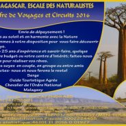 CIRCUIT SUD MADAGASCAR : UN VOYAGE LEGENDAIRE  A TRAVERS  LA ROUTE  NATIONALE 7
