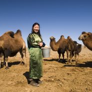 Spécialités culinaires en Mongolie et en Ouzbékistan