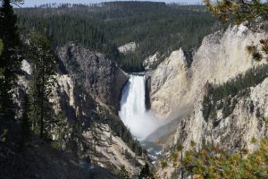 Yellowstone