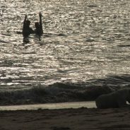 Des moments inoubliables sur le territoire sénégalais