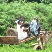 Des moments inoubliables sur le territoire sénégalais