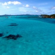 Location de catamaran avec skipper en Martinique