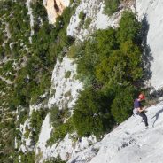 Entre2nature : Escalade et parcours aventure