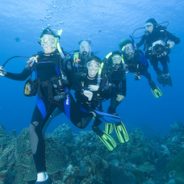 Cap vers Phuket : à la découverte des fonds marins de la Thaïlande