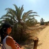 Et si vous partez pour Djerba pour vos prochaines vacances ?