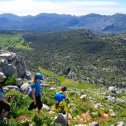 La côte de la “Lumière” et l’Andalousie Occidentale : une diversité naturelle aussi impressionnante que ses richesses culturelles.