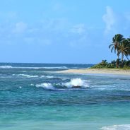 Guadeloupe : l’île aux mille et une merveilles