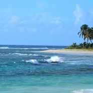 Guadeloupe : l’île aux mille et une merveilles