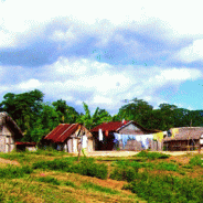 En route vers la côte de la Vanille de Madagascar