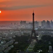 Partir à la découverte des vignobles de Paris