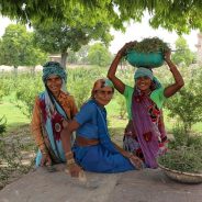 9 raisons de tomber amoureux de l’Inde