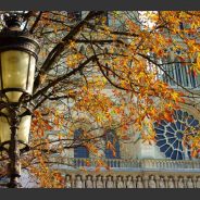 Visiter Paris: une ville splendide à découvrir toute l’année