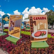 Les grands parcs d’attractions Disney en Floride