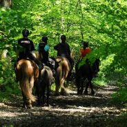 Le Centre Equestre de la Lys est situé au cœur de la Suisse Normande