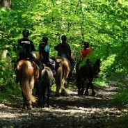 Le Centre Equestre de la Lys est situé au cœur de la Suisse Normande