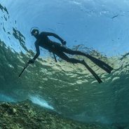 Pratiquez la plongée sous-marine de manière sportive
