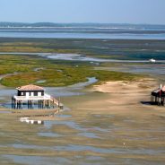 Séjour familial au Bassin d’Arcachon