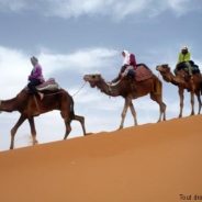 Les merveilles de la nature à découvrir au voisinage de l’auberge de Moha