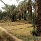 Les merveilles de la nature à découvrir au voisinage de l’auberge de Moha