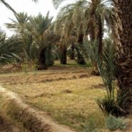 Les merveilles de la nature à découvrir au voisinage de l’auberge de Moha