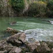 Organiser des vacances de rêve dans le Vaucluse