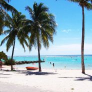 Comment bien organiser son séjour en Guadeloupe ?