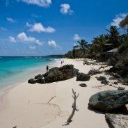 Louer un catamaran pour découvrir les Grenadines