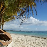 A la découverte de l’Ile Maurice : 4 spécialités culinaires traditionnelles