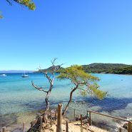 Les options pour explorer l’île de Porquerolles