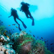 Pourquoi la plongée sous-marine est l’expérience ultime de vos vacances à l’Ile Maurice