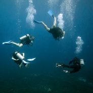 La plongée sous-marine dans la Riviera Maya au Mexique